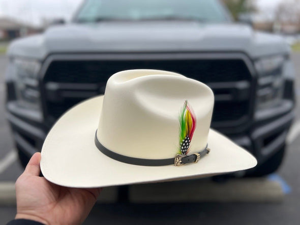 Western Color Feather Cowboy Hat